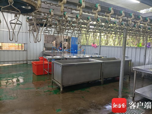 文昌推进农产品仓储保鲜冷链设施建设 农村合作社一年增效90万
