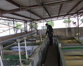 东莞工业废水处理公司,重庆电镀污水处理工程价格及规格型号