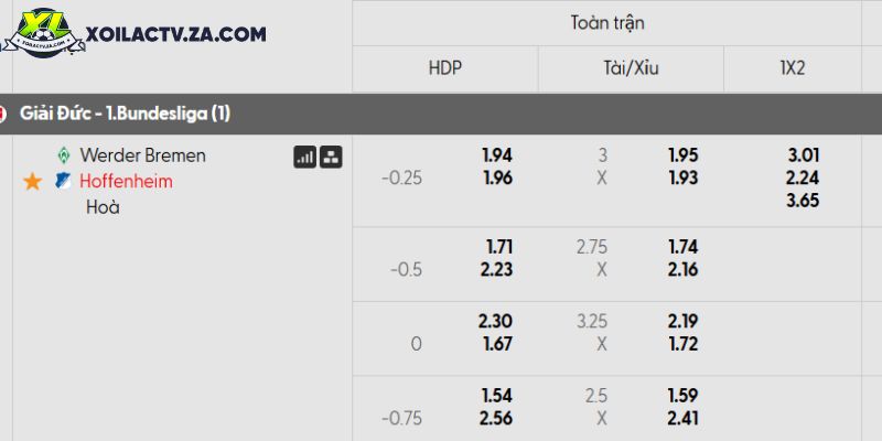Tỷ lệ kèo Werder Bremen vs Hoffenheim