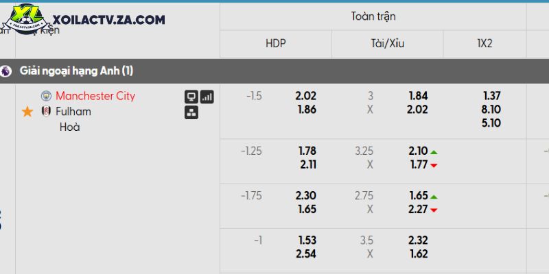 Tỷ lệ kèo Manchester City vs Fulham