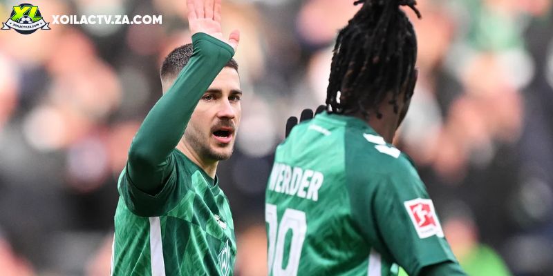 Soi kèo Werder Bremen vs Hoffenheim chi tiết